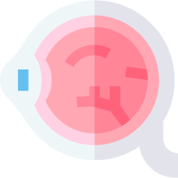 globe oculaire Icône
