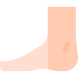 Foot icon