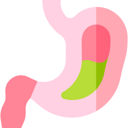 Stomach icon