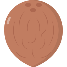 Coconut icon