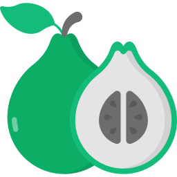 Quince icon