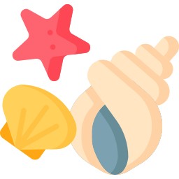 Shells icon