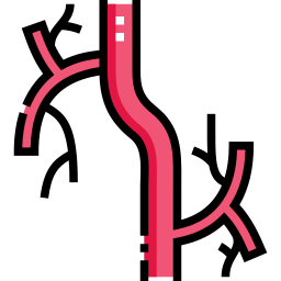 vasculaire Icône