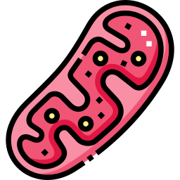 mitochondrien icon