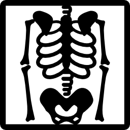 vista dello scheletro sui raggi x icona