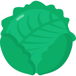 Cabbage icon