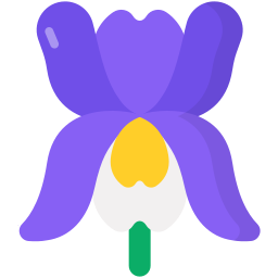 iris icon