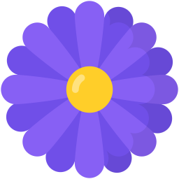 aster icoon