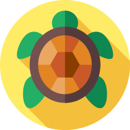 Turtle icon