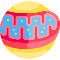 Mitochondria icon