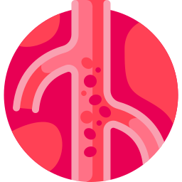 血管 icon