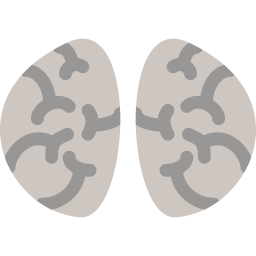 Brain icon