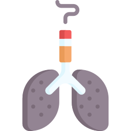 pulmones icono