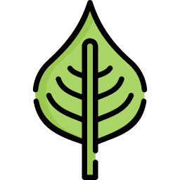 Leaf icon