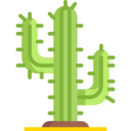 cactus icoon