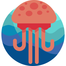 Jellyfish icon