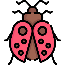 Ladybug icon