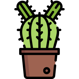 cactus icoon