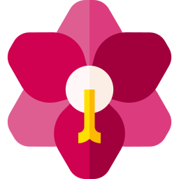 amaryllis icon