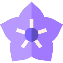 Star icon