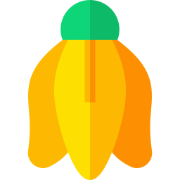 ylang ylang icono