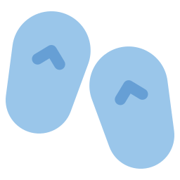 Flip flops icon