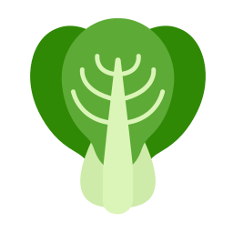 bok choy icon