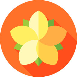 プルメリア icon