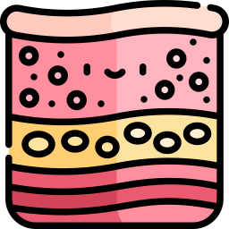 Skin layers icon