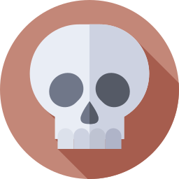 Skull icon