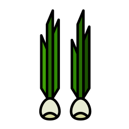 봄 양파 icon