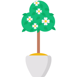 치자 나무 icon