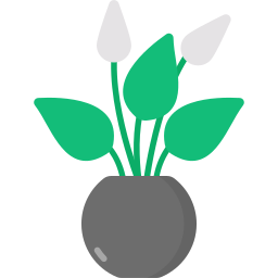 Peace lily icon
