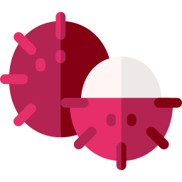 rambutan icon