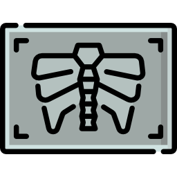 X rays icon