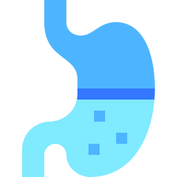 Stomach icon