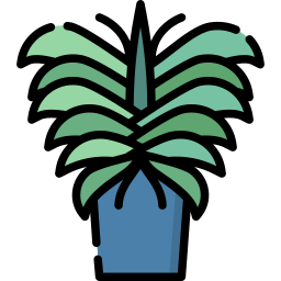 Сансевиерия иконка