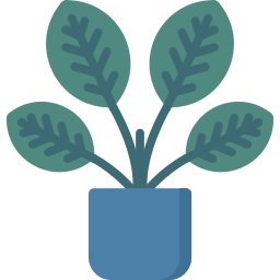 Calathea icon