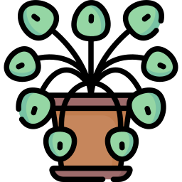 pilea icon