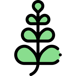 Leaf icon