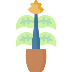 Zebra plant icon