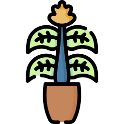 planta de cebra icono