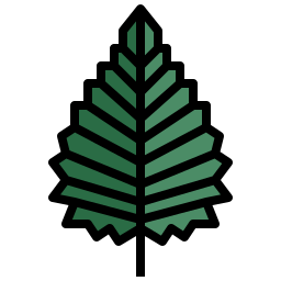 자작 나무 icon