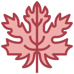 단풍 icon