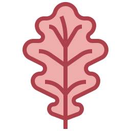 quercia icona