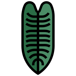 Филодендрон ксанаду иконка