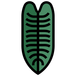 philodendron xanadu icon