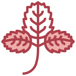 Strawberry icon