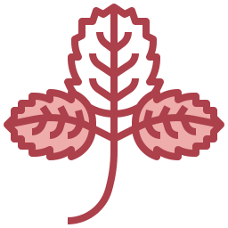 erdbeere icon