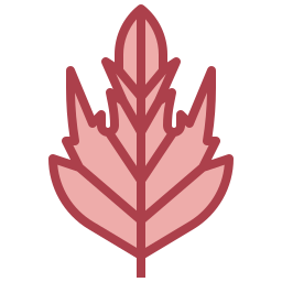 whitethorn icono